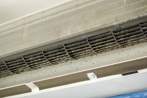 Best HVAC System Cleaning  in Southaven, MS